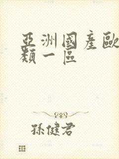 亚洲国产欧美另类一区