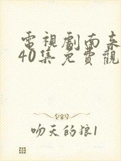 电视剧南来北往40集免费观看全集播放封面
