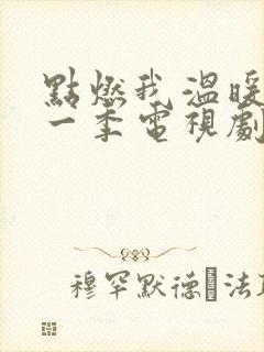 点燃我温暖你第一季电视剧免费观看