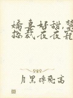 娇妻好甜,禁欲总裁夜夜宠 小说