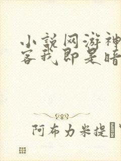小说网游神级刺客我即是暗影