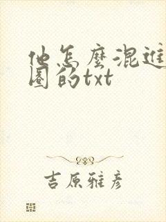 他怎么混进娱乐圈的txt封面