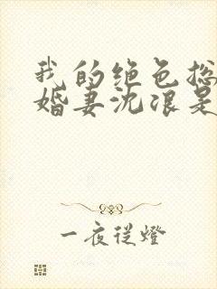 我的绝色总裁未婚妻沈浪是什么身份