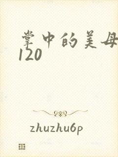 掌中的美母版主120封面