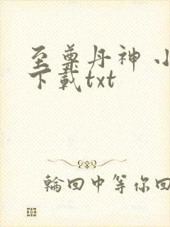 至尊丹神 小说下载txt封面