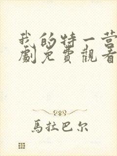 我的特一营电视剧免费观看全集封面