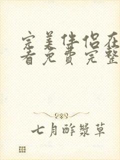 完美伴侣在线观看免费完整版高清