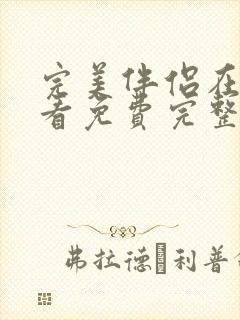 完美伴侣在线观看免费完整版高清