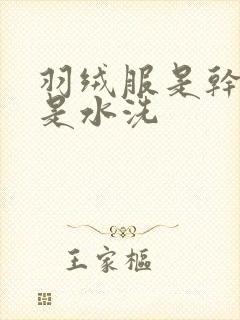羽绒服是干洗还是水洗封面