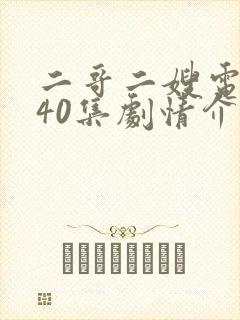 二哥二嫂电视剧40集剧情介绍