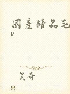 国产精品毛片av