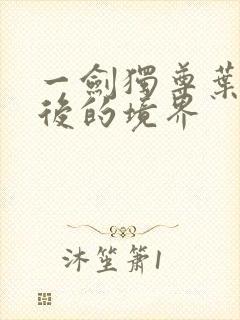 一剑独尊叶玄最后的境界