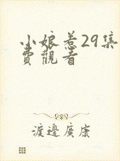 小娘惹29集免费观看
