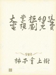 大掌柜40集全电视剧免费