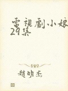 电视剧小娘惹第29集