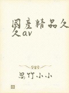 国产精品久久久久av