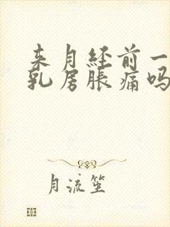 来月经前一定会乳房胀痛吗封面