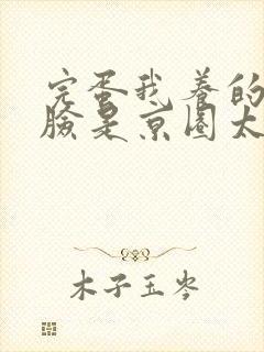 完蛋我养的小白脸是京圈太子爷短剧完整版