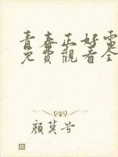 青春正好电视剧免费观看全集封面