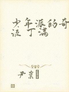 少年派的奇幻漂流 丁满