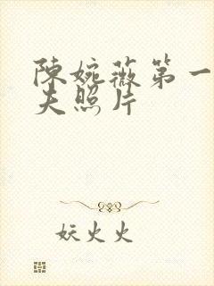 陈婉薇第一任丈夫照片