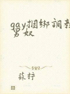 gay捆绑调教男奴