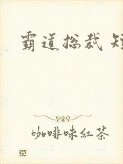 霸道总裁 短剧