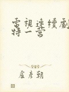电视连续剧我的特一营