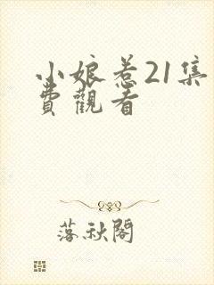 小娘惹21集免费观看封面