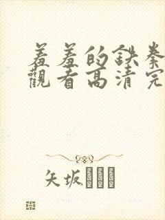 羞羞的铁拳免费观看高清完整版