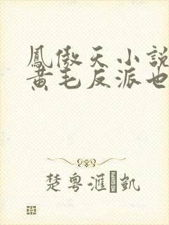 凤傲天小说里的黄毛反派也想幸福小说