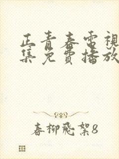 正青春电视剧全集免费播放高清版