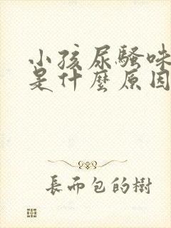 小孩尿骚味太重是什么原因