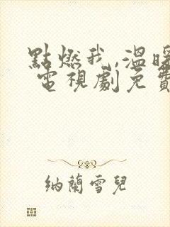 点燃我,温暖你 电视剧免费