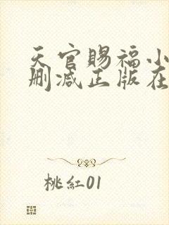 天官赐福小说无删减正版在线阅读封面