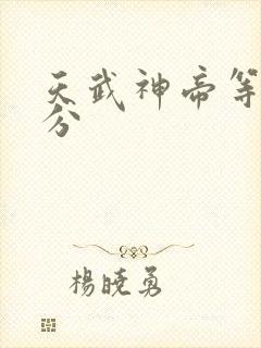 天武神帝等级划分