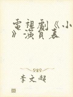 电视剧《小娘惹》演员表
