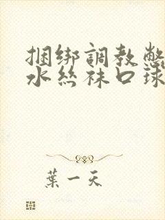 捆绑调教憋尿灌水丝袜口球