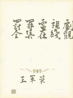 罚罪电视剧免费全集在线观看封面