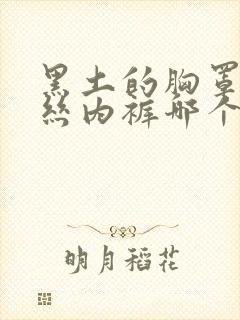 黑土的胸罩和蕾丝内裤哪个