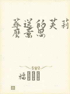 葬送的芙莉莲什么意思
