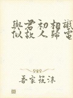 与君初相识·恰似故人归电视剧免费