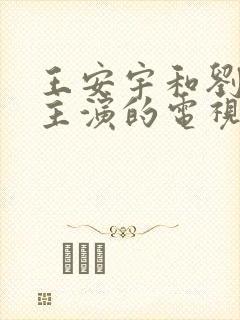王安宇和刘浩存主演的电视剧