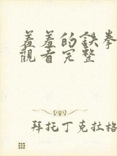 羞羞的铁拳免费观看完整