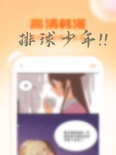 排球少年!!：结局+番外