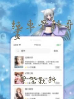 纯车骨科哥弟漫画