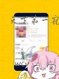 天下第一宠漫画