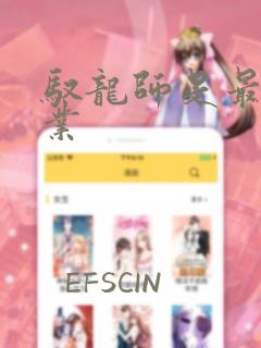 驭龙师是最弱职业