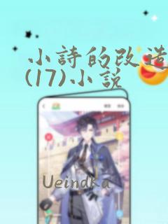 小诗的改造日记(17)小说