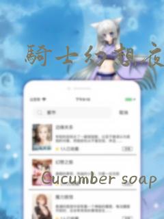 骑士幻想夜漫画